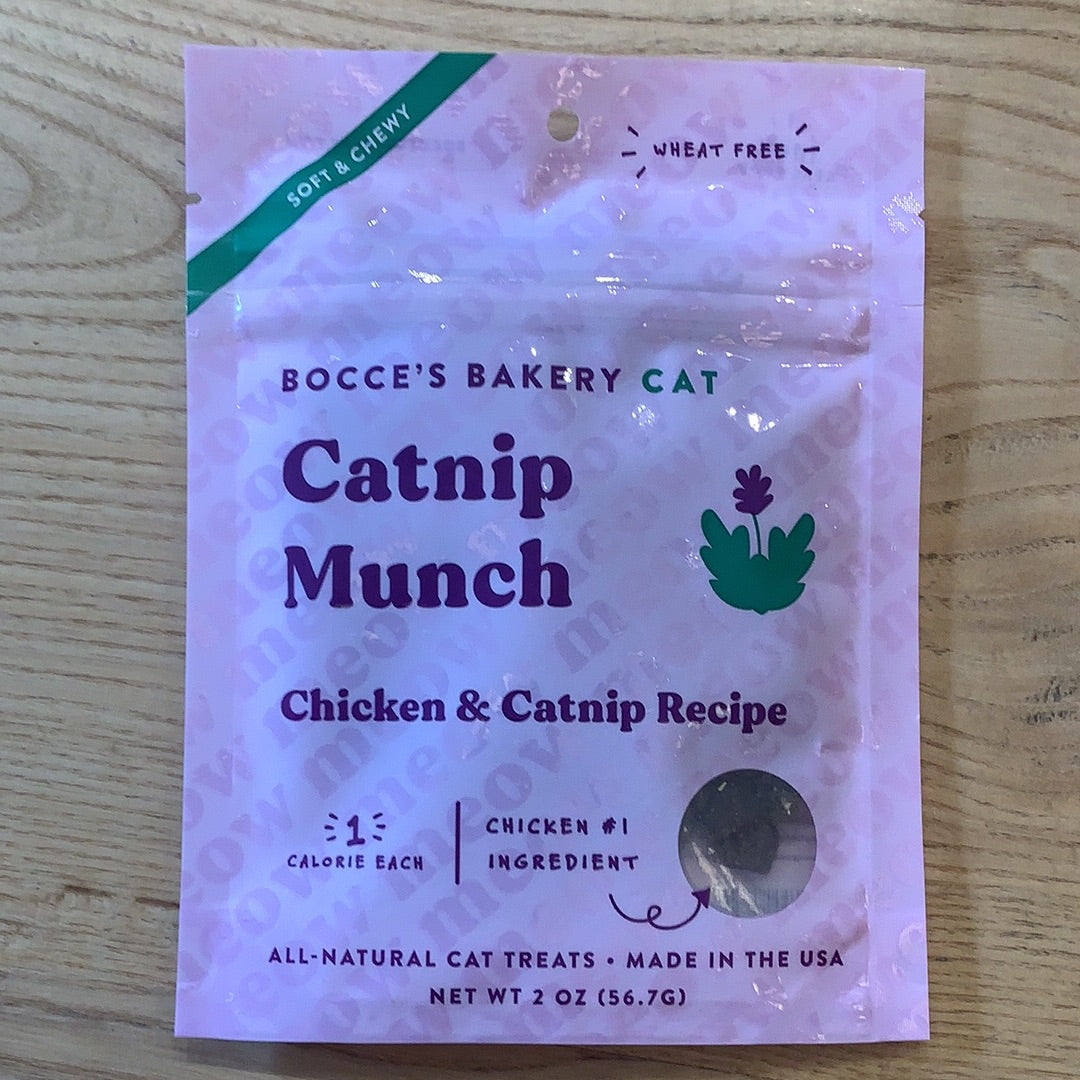 Bocce’s Bakery Cat