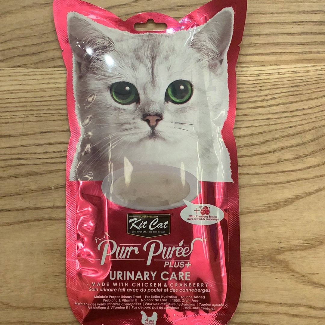 Kit Cat purr purer