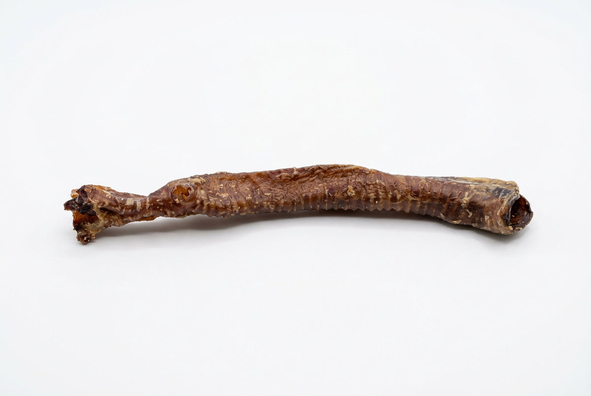 Lamb Trachea