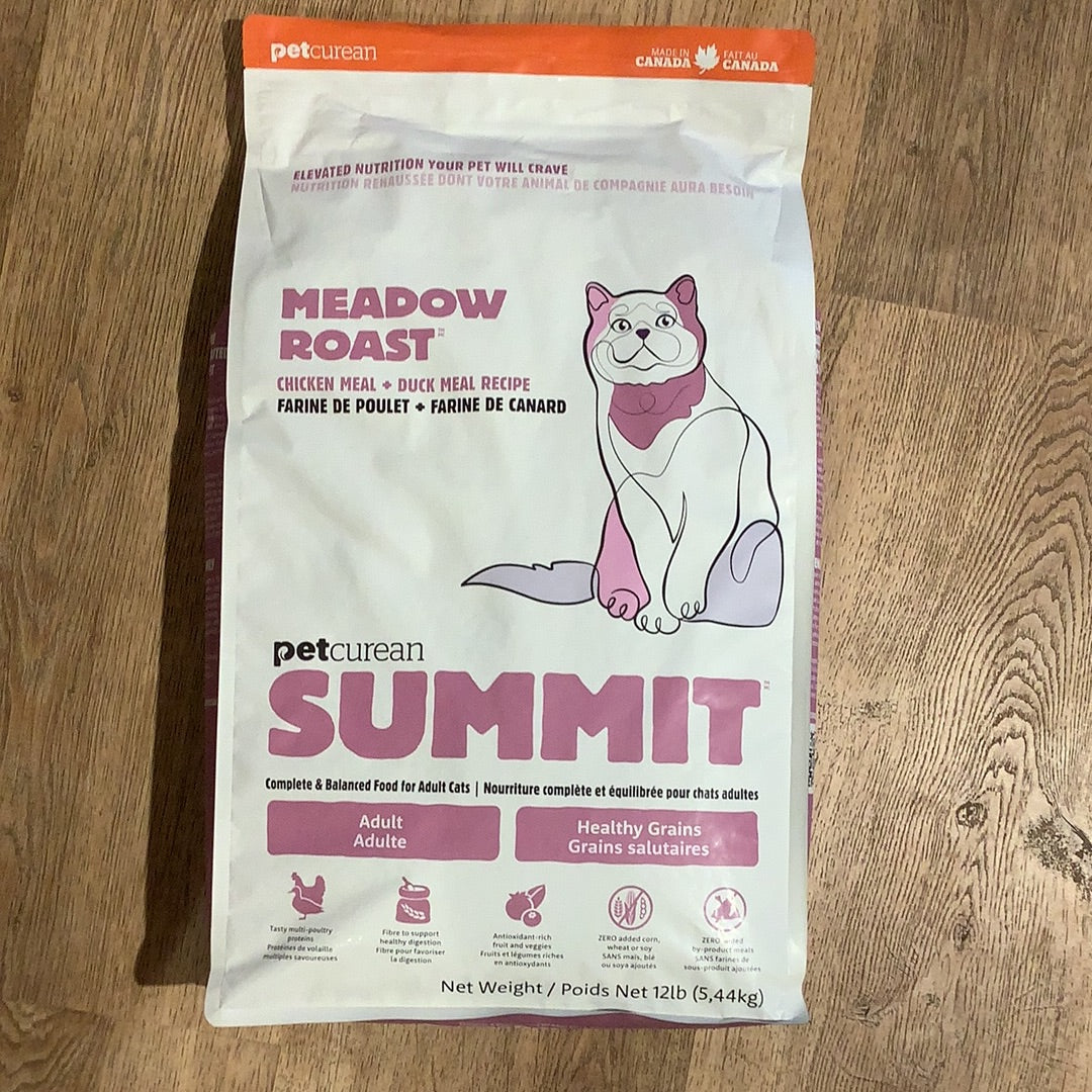 Summit Cat
