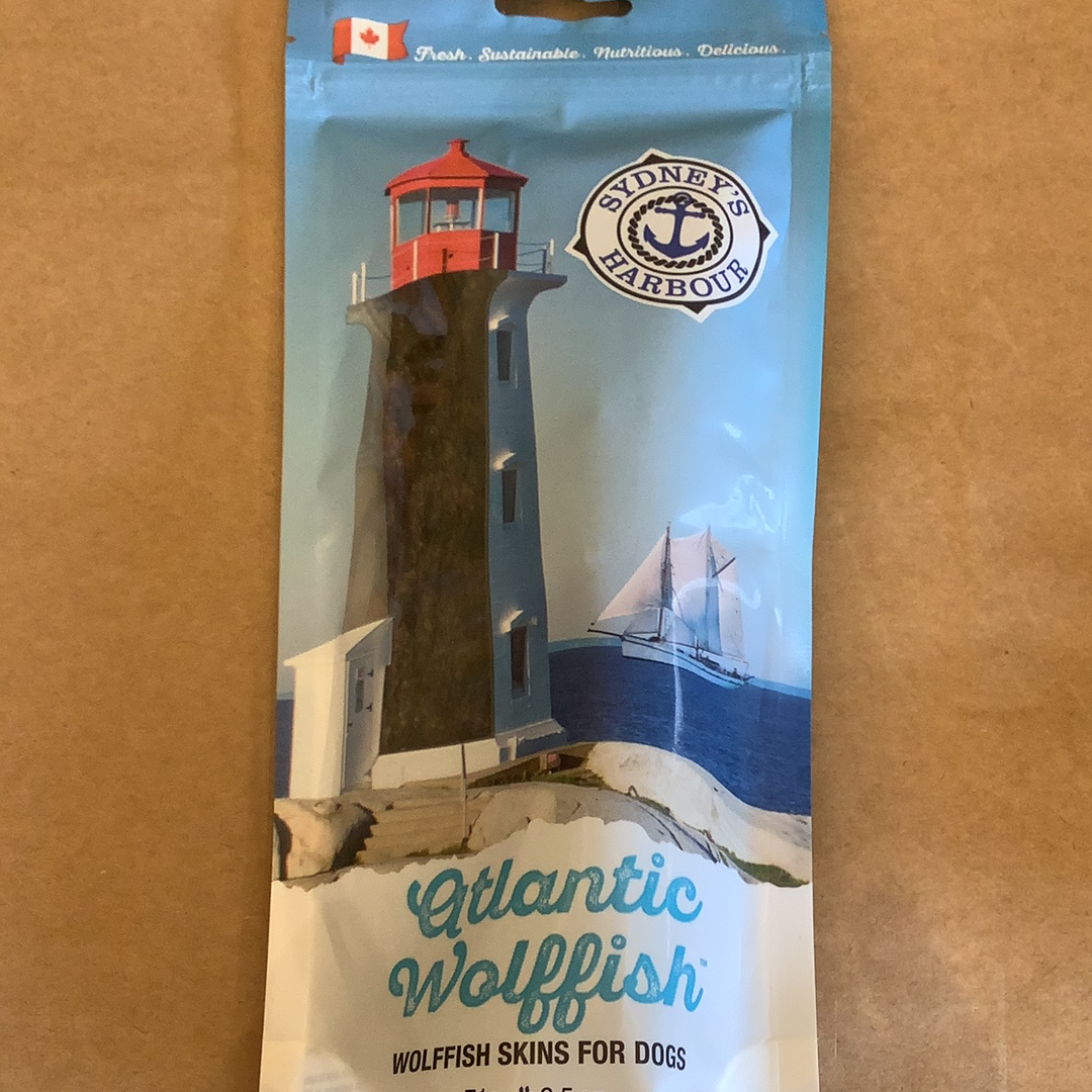 This and That- Sydney's Harbour- Atlantic Wolffish