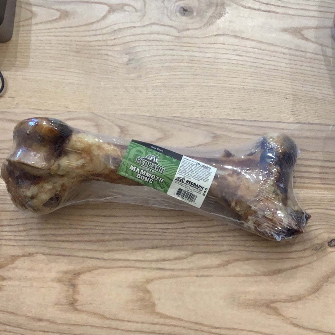 Redbarn Mammoth Bone