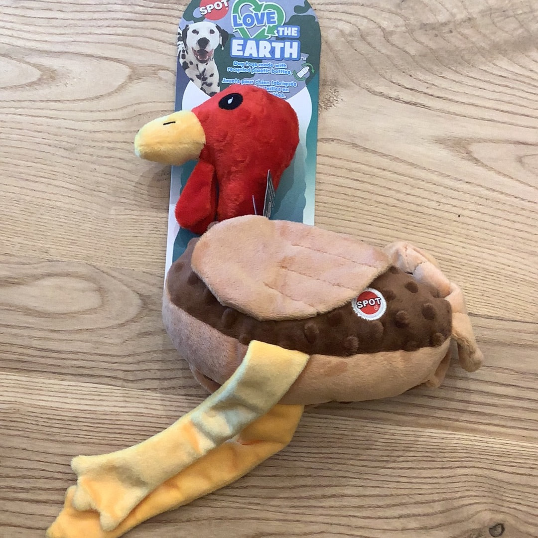 Spot love the earth large birds