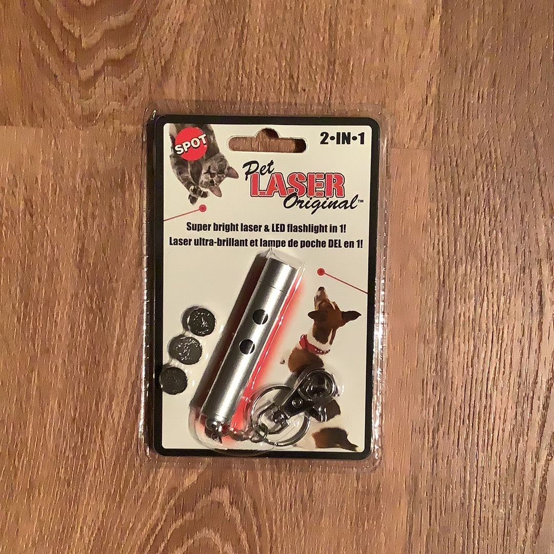 2 in 1 laser pointer