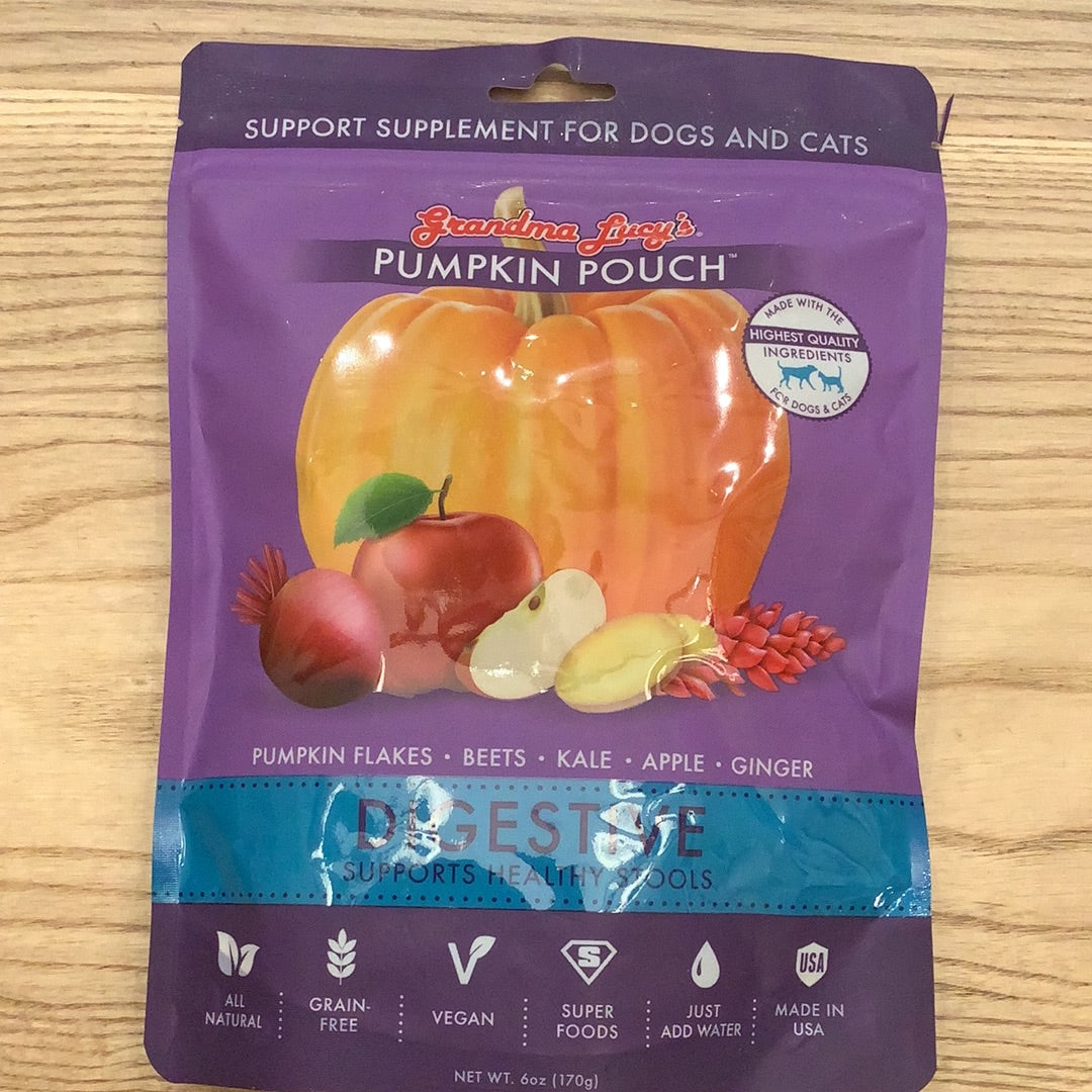 Grandma Lucy’s Pumpkin Pouch