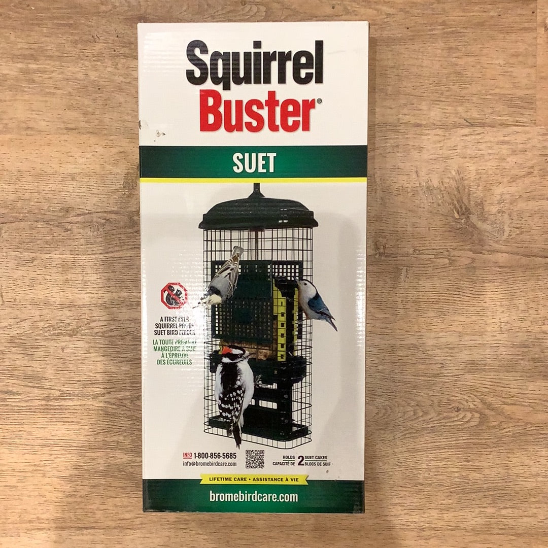 Squirrel Buster Suet Bird Feeder