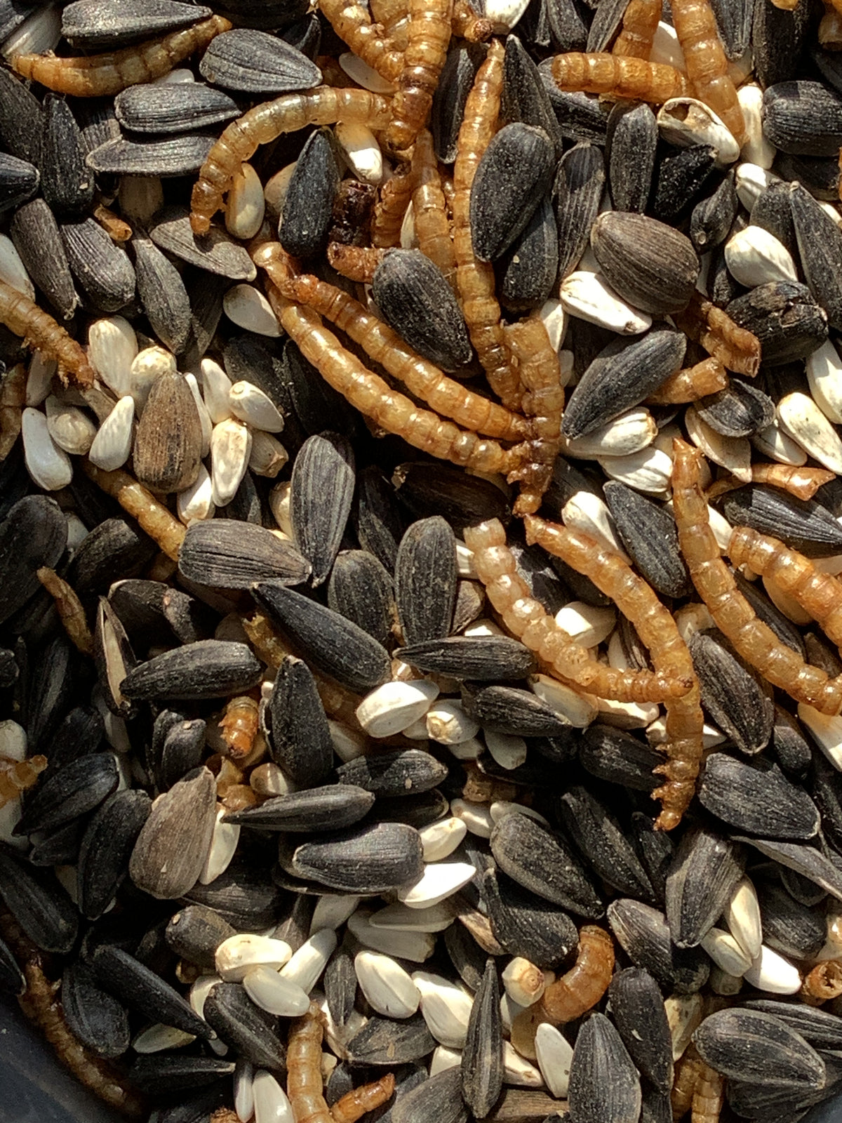 Wild Bird Seed: SongBird Deluxe