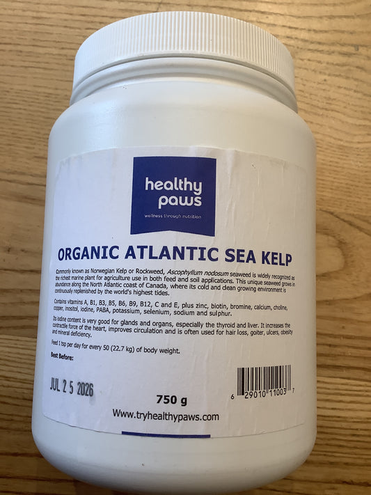 Organic Atlantic Sea Kelp