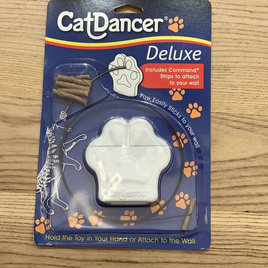 Cat dancer