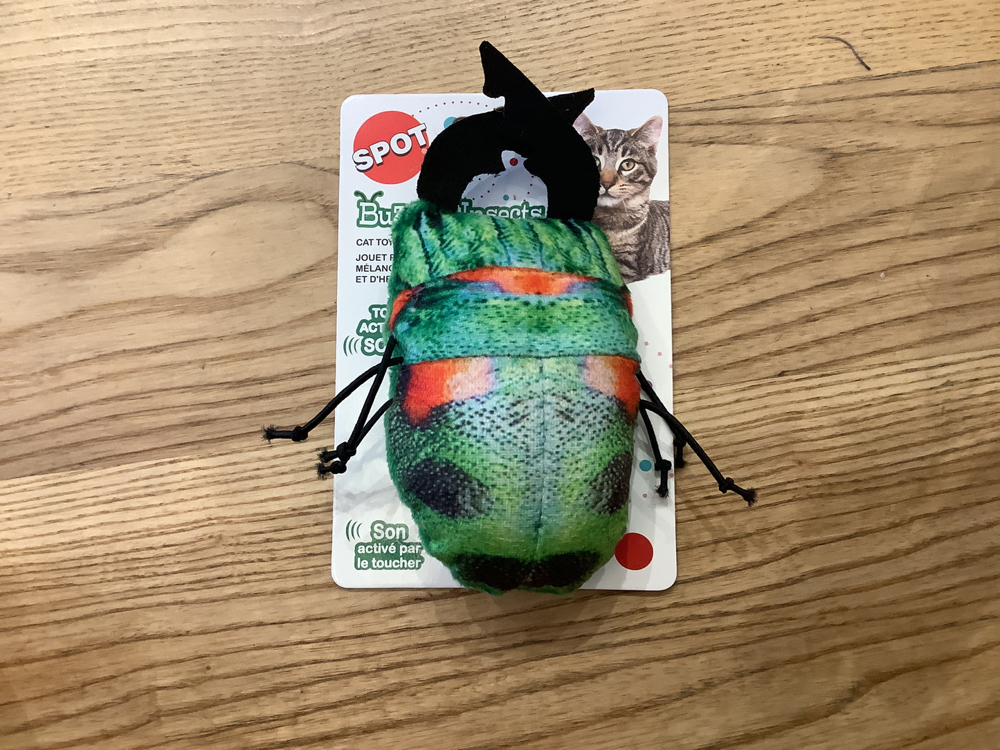 Spot insect catnip toy