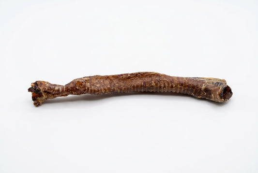 Lamb Trachea