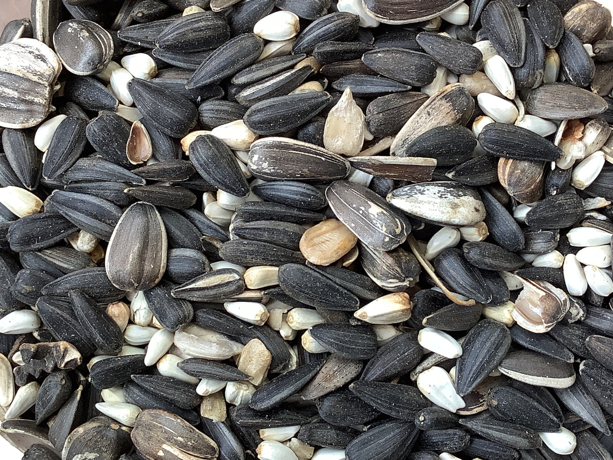 Wild Bird Seed: Cardinal Crunch