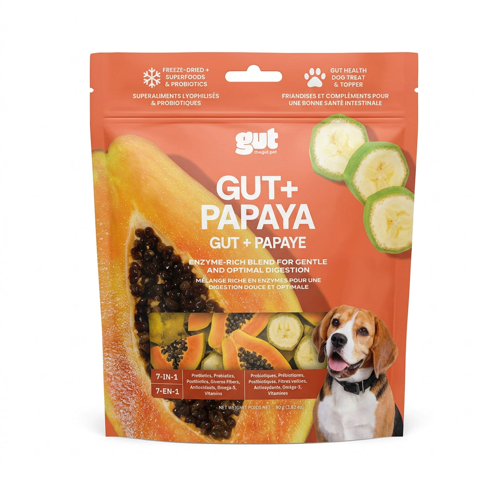 The Gut Pet