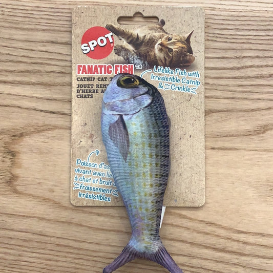 Fanatic Fish