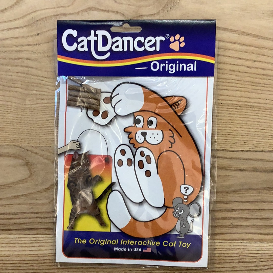 CatDancer